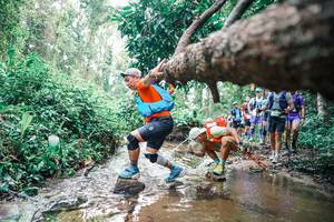 BIB: 
                            <button type="button" onclick="openModal(25373893)" class="btn btn-primary btn-sm float-right btn-popup" data-toggle="modal" data-target=".modal-high-quality">
                        <i class="fas fa-shopping-cart"></i> Add to Cart
                    </button>
                                            <button type="button" onclick="isThisMe(25373893, true)" class="btn btn-success btn-sm float-right btn-popup btn-isme hidden" data-toggle="tooltip" data-placement="bottom" title="นี่คือรูปของคุณใช่ไหม คลิกที่นี่เพื่อเอาเข้าอัลบั้ม">
                        <i class="fas fa-plus"></i> Add to album
                    </button>
                    <button type="button" onclick="isThisMe(25373893, false)" class="btn btn-warning btn-sm float-right btn-popup btn-isnotme hidden">
                        <i class="fas fa-ban"></i> Remove from album
                    </button>